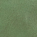 color swatch Mystical Green Leather Jacket